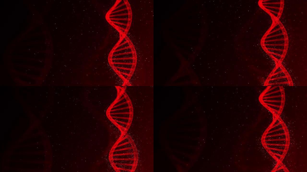 4K DNA背景-可循环