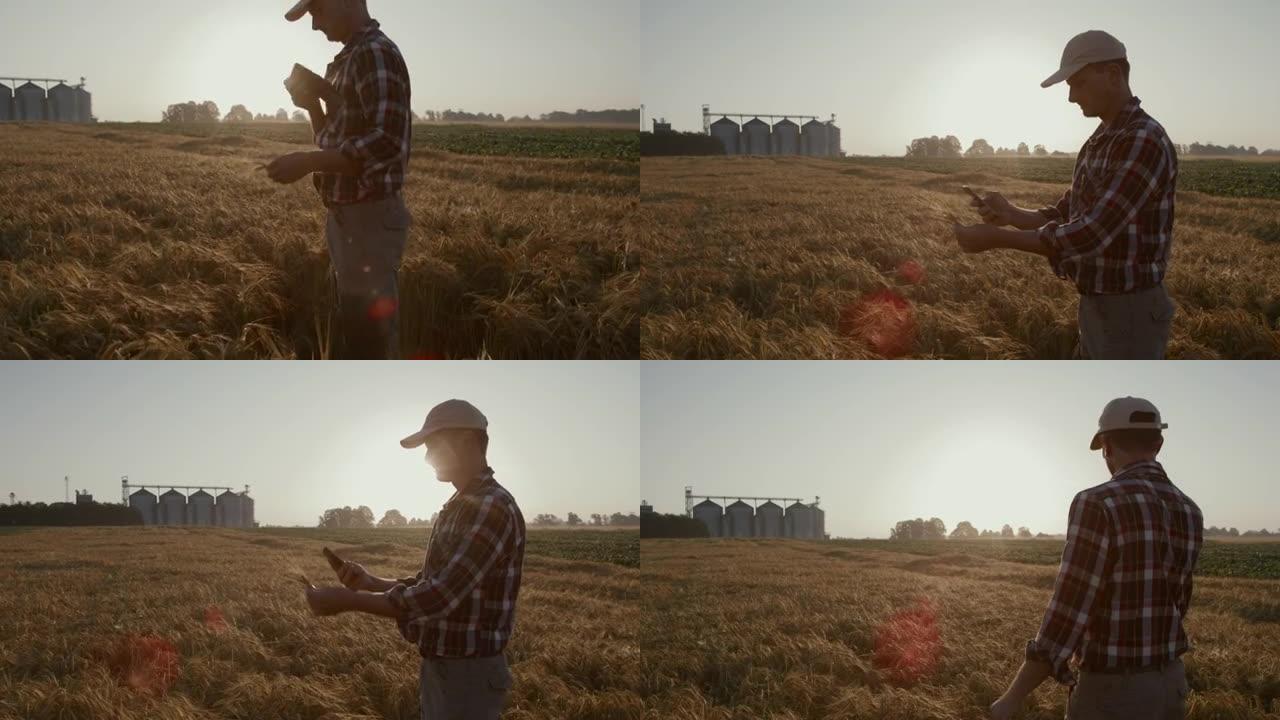 SLO MO Farmer使用他的智能手机在背景中筒仓的田间拍摄了麦穗的照片