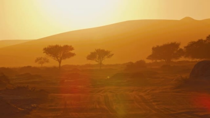 WS日落时宁静的金色沙漠景观，纳米比亚，非洲
