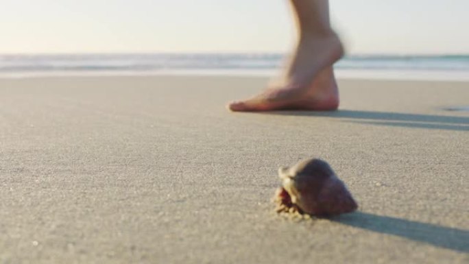 人的脚，步行和沙滩的沙步，贝壳和暑假，假期和热带海洋旅行在夏威夷。腿，脚或放松海水海岸，自由和平静的