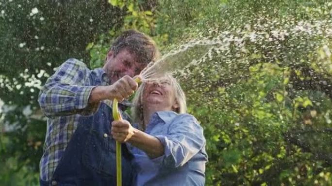 一对幸福微笑的成熟夫妇的真实照片正在享受他们在一起的时光，并在阳光明媚的日子里为花园浇水。概念: 爱