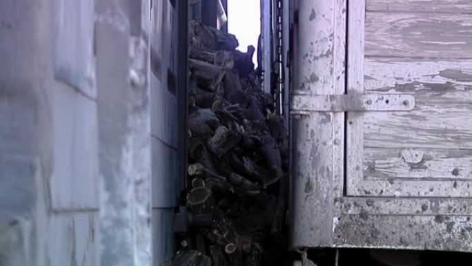 工人在阿根廷巴塔哥尼亚巴塔哥尼亚铁路的货车上装载木材。