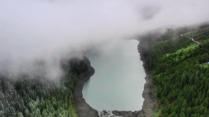 一池湖水静静地躺在丛林中