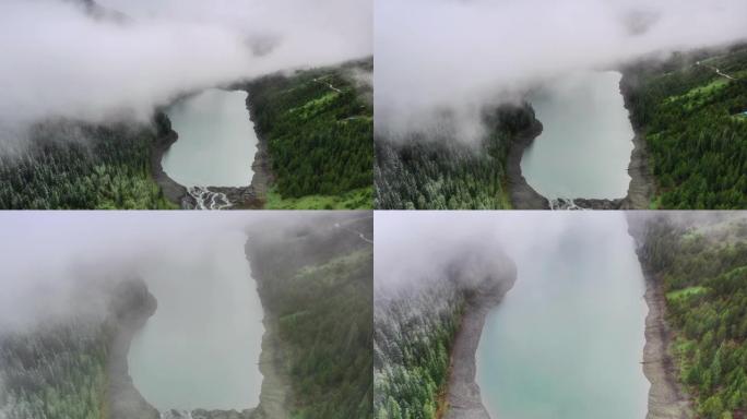 一池湖水静静地躺在丛林中