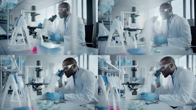 医学发展实验室: 黑人男性科学家在显微镜下观察，检查培养皿。从事医学，疫苗，生物技术研究的高级科学实