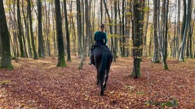 面目全非的年轻女子带着她的马探索秋天的彩色森林。