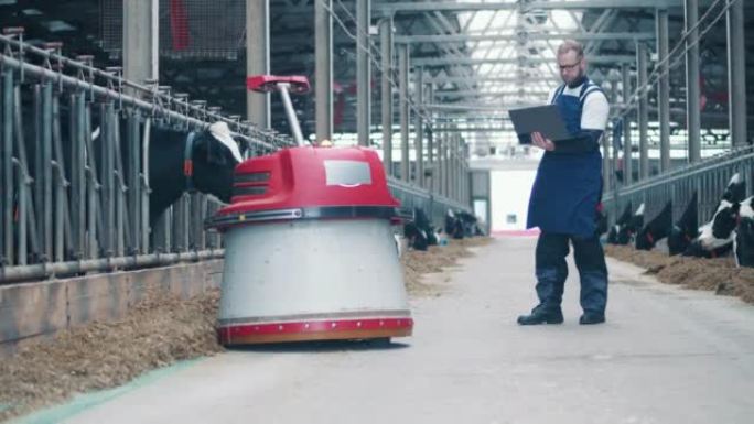 男性专家正在养牛场操作机器人