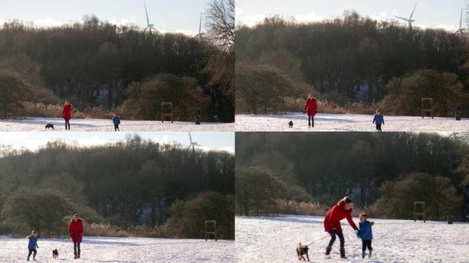 和我儿子一起遛狗冬天玩耍雪人冰天雪地