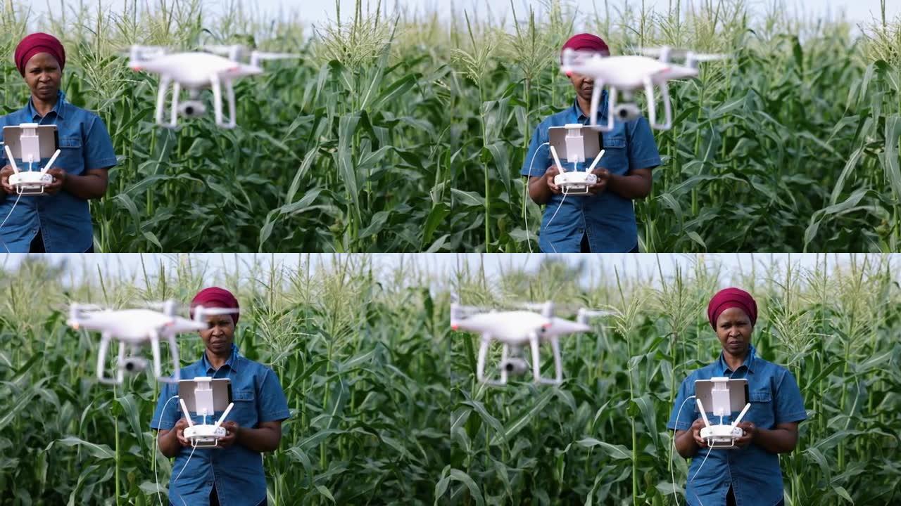 特写肖像视图黑人非洲女农学家农民使用现代技术用无人机监控玉米作物
