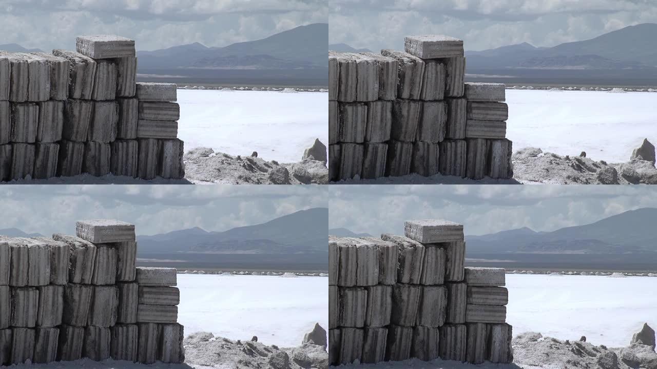 从阿根廷萨利纳斯·格兰德斯盐滩开采的堆放盐块。