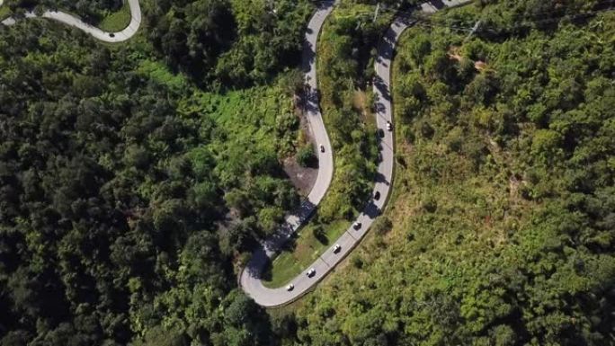 绿色森林中的道路绿色森林中的道路盘山公路