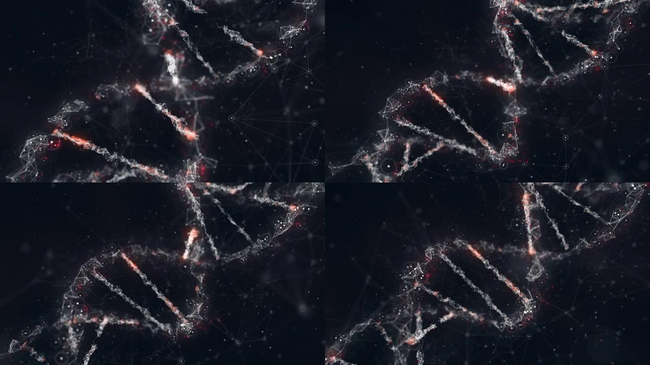 发现DNA发现DNA