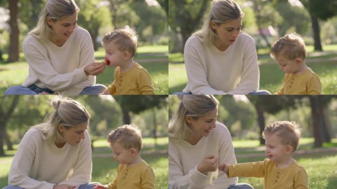 家庭，公园野餐和草莓小吃，母亲和唐氏综合症的儿子坐在一起，一边吃饭一边拳头。女人和男孩在夏天笑，在户