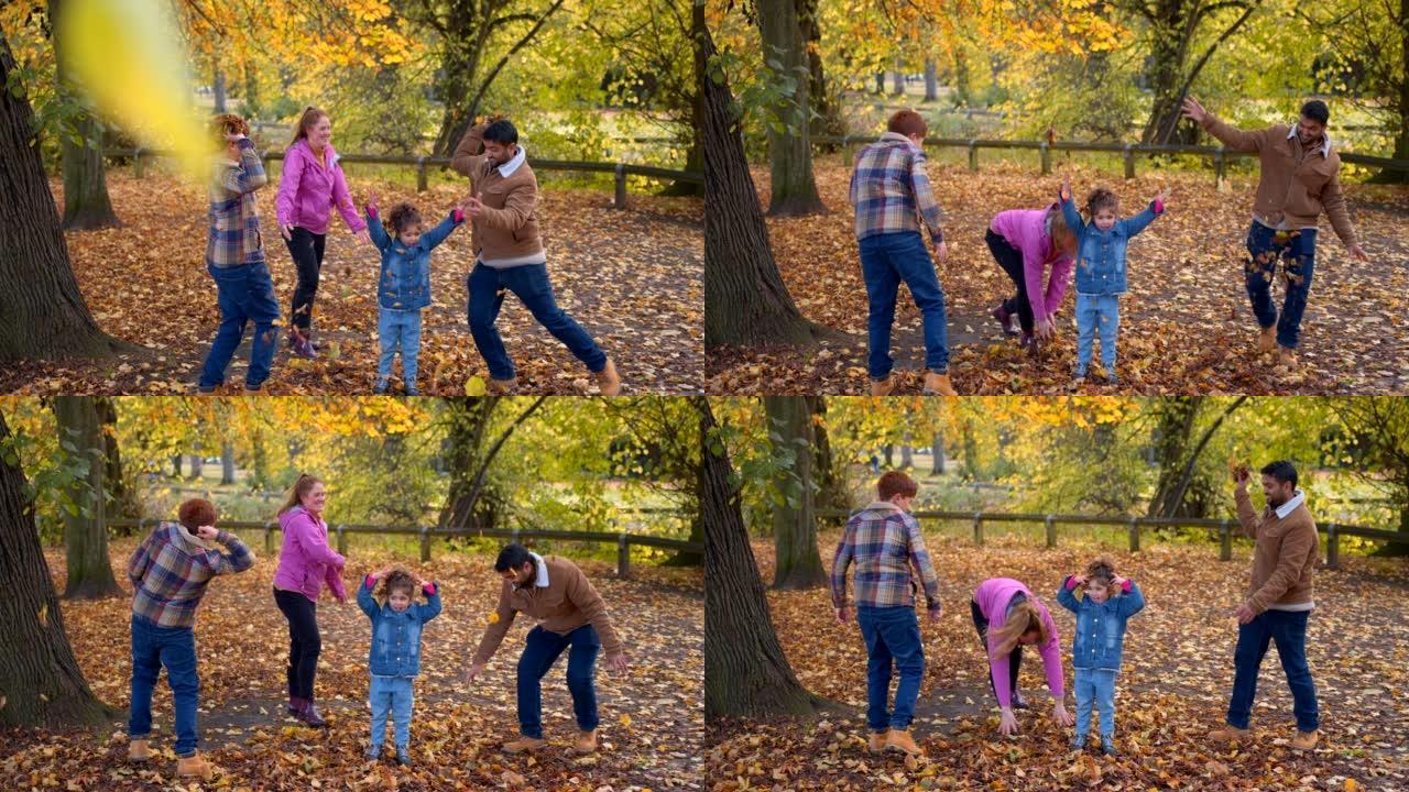 与家人一起玩一家人在玩树叶