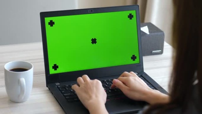 女人使用带有绿色模拟屏幕的笔记本电脑