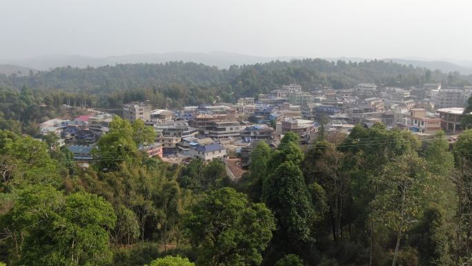 普洱茶发源地