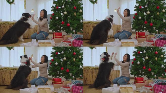 女人在家玩狗庆祝圣诞节和新年寒假