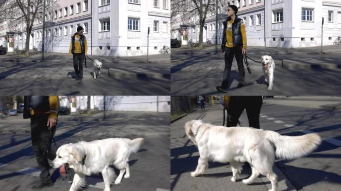 女人带着她的宠物狗穿过街道