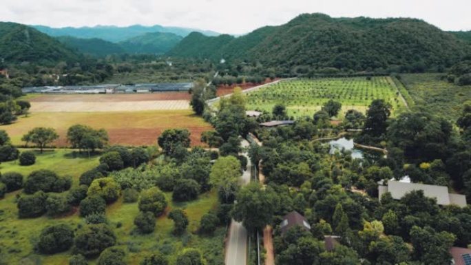 向上倾斜空中，泰国的乡村道路