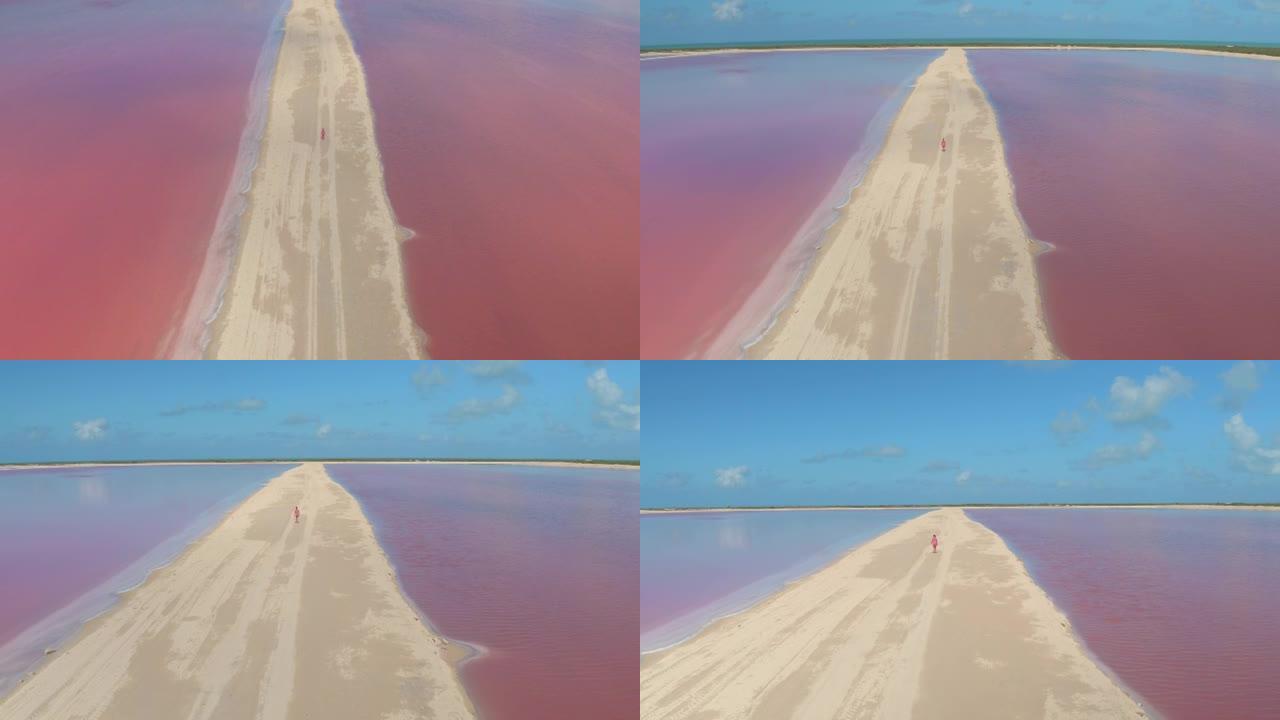 空中: 年轻的女游客沿着一条空旷的土路穿过粉红色的湖泊。