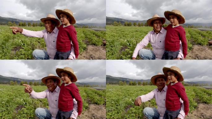 拉丁美洲的农民教他的儿子如何收割土地并指着田野