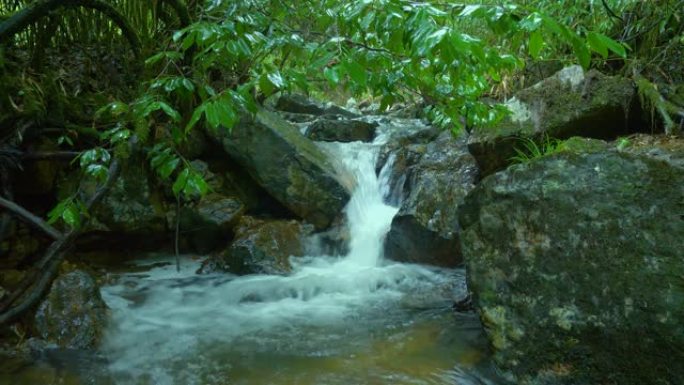 森林中的溪流水山泉水山中溪流山水