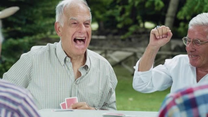 一群资深男性朋友在公园里一起玩纸牌游戏，在户外享受夏天的天气。老玩家凭借获胜卡走运，以胜利结束比赛