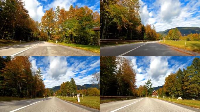在阳光明媚的日子里开车穿过五颜六色的秋天森林