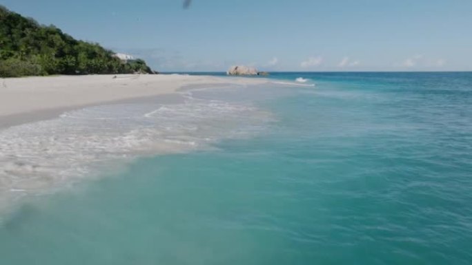 布朗·诺迪 (Brown Noddy) 的特写空中视点在塞舌尔库辛岛的私人海滩周围飞行