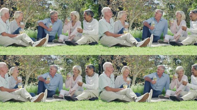 一群成熟朋友在野餐时享受葡萄酒的4k视频片段