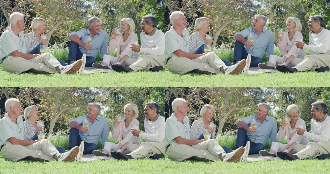 一群成熟朋友在野餐时享受葡萄酒的4k视频片段