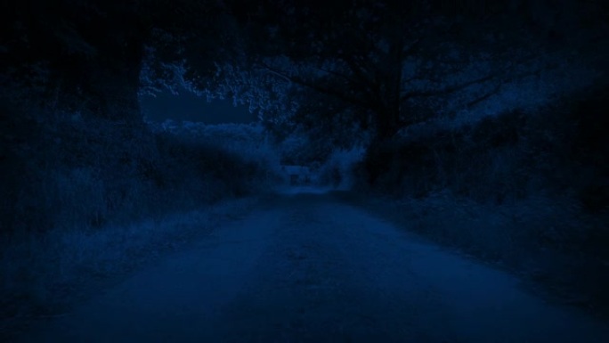 在月光下沿着乡间小路行驶