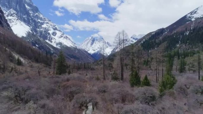 四姑娘山冬季景观秋季秋林秋分