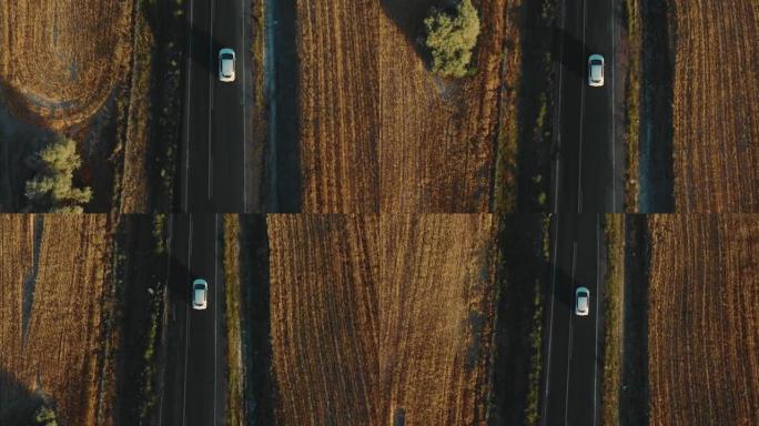 在阳光明媚的农田里，有树木的白色汽车沿着美丽的高速公路快速行驶的俯视图无人机跟踪镜头。