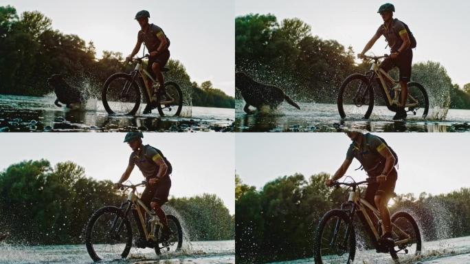 超级SLO MO山地自行车手骑自行车，而他的狗在河里奔跑