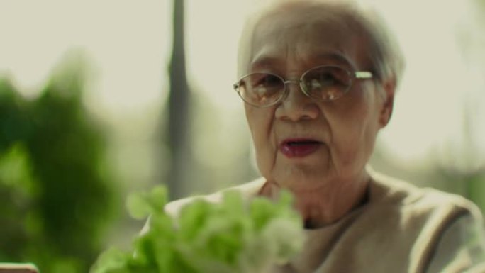 健康是最重要的老太太老奶奶视频素材