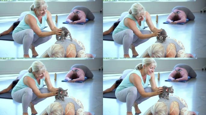 两名熟女在瑜伽课上与猫