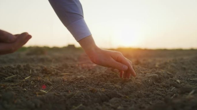 一位年轻成功的男性农民的特写镜头正在日落时在玉米田上收割玉米粒时用手控制。概念: 农业、自然、农业、