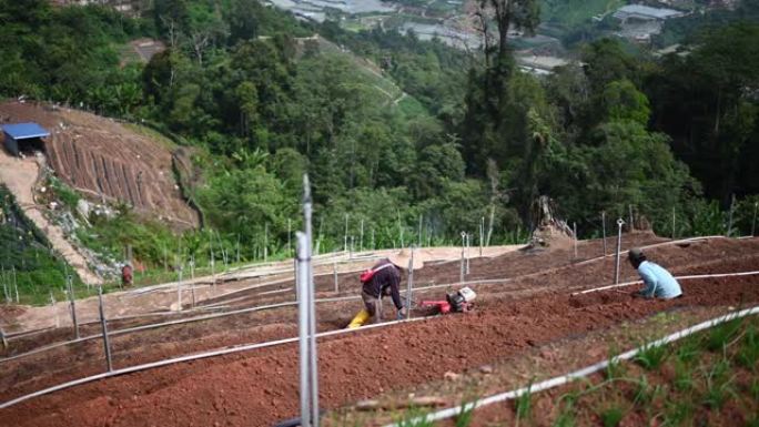 亚洲男性农民在山坡上用手扶拖拉机耕种土壤