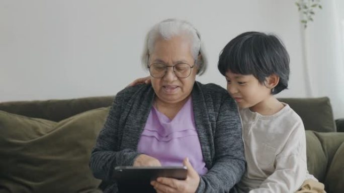 孙子和祖母使用笔记本电脑。