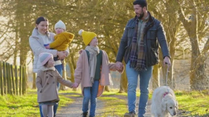 患有唐氏综合症的家庭女儿在秋天或冬天的乡村与宠物狗一起散步