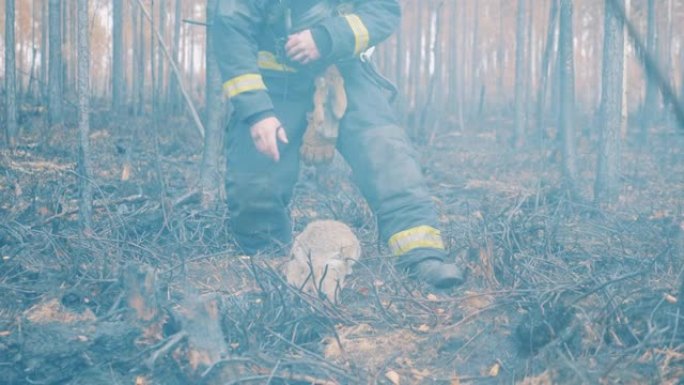 一名消防员在森林里抚摸一只兔子后走开了