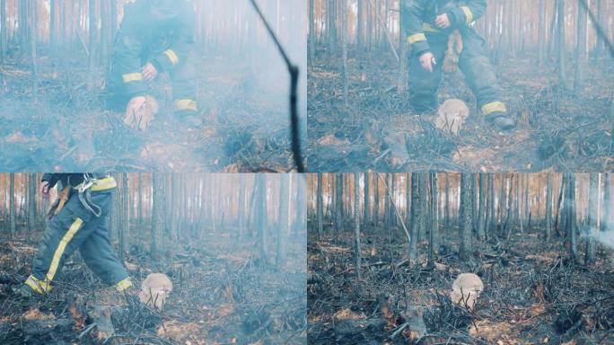 一名消防员在森林里抚摸一只兔子后走开了