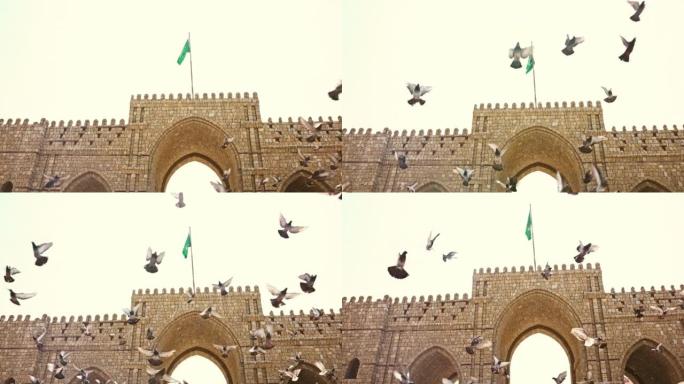 鸽子在吉达Baab Makkah前飞翔