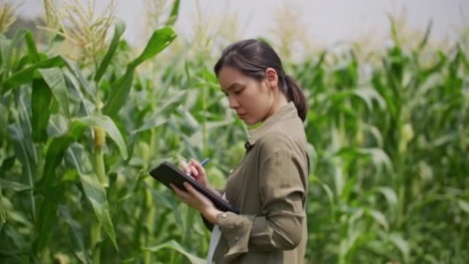 使用数字平板电脑智能农业的年轻女农民