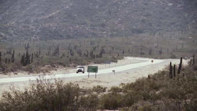 阿根廷卡塔马卡省，安第斯山脉附近，一辆车行驶在一条长满仙人掌的沙漠道路上。