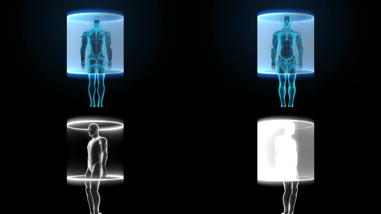 扫描人体肌肉系统，蓝色x射线光。4k动画。