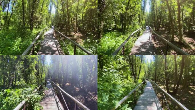 在公园里散步丛林木桥行走第一视角