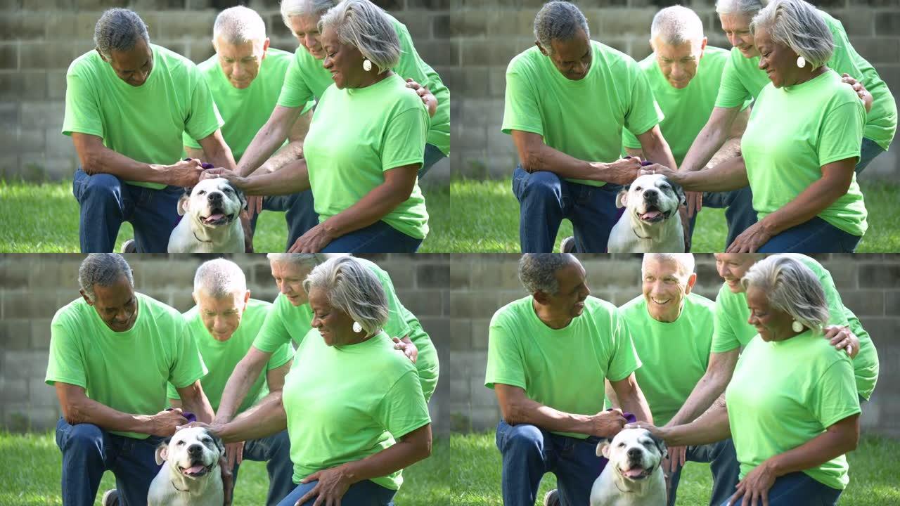 动物收容所的四名老年人志愿者，抚摸狗