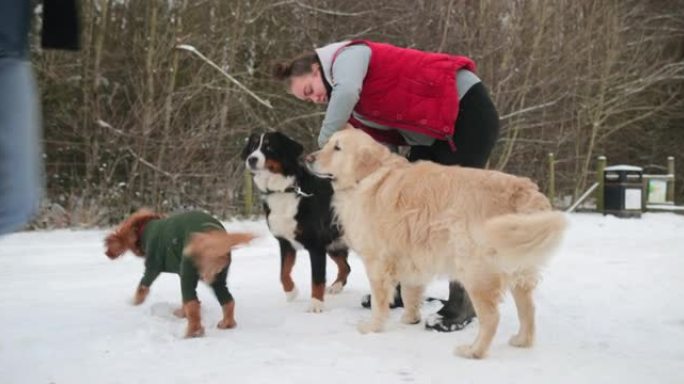 让狗拴起来冬天玩耍雪人冰天雪地
